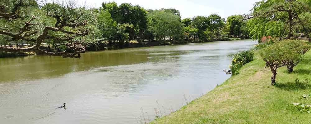 【公園】じゅん菜池公園まで634ｍ