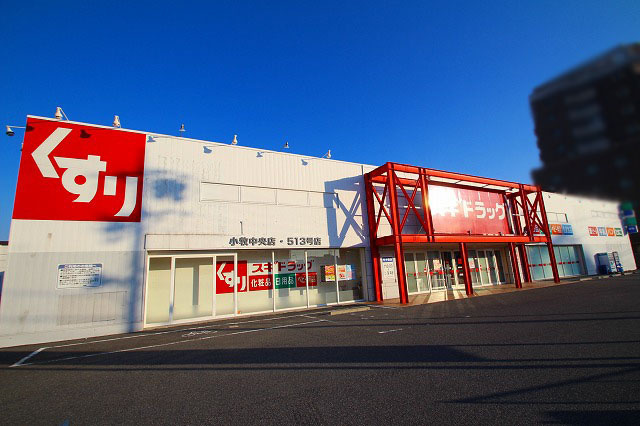 【ドラッグストア】スギ薬局小牧中央店まで878ｍ