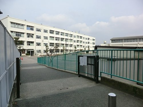 【小学校】横浜市立笹野台小学校まで516ｍ