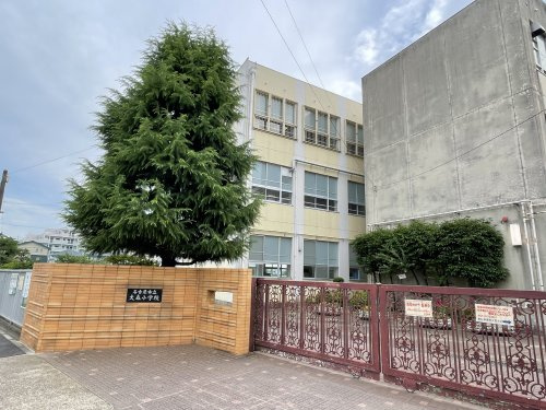 【小学校】大森小学校まで655ｍ