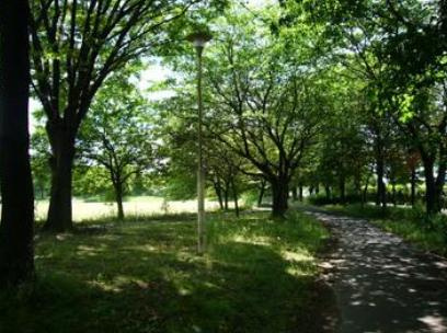 【公園】加須北部公園まで500ｍ