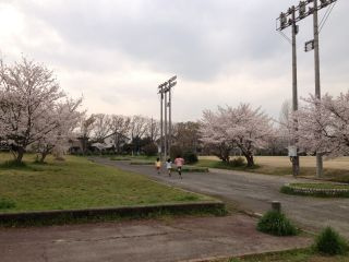 【公園】柏木公園まで2065ｍ