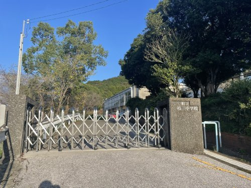 【小学校】いの町立枝川小学校まで380ｍ