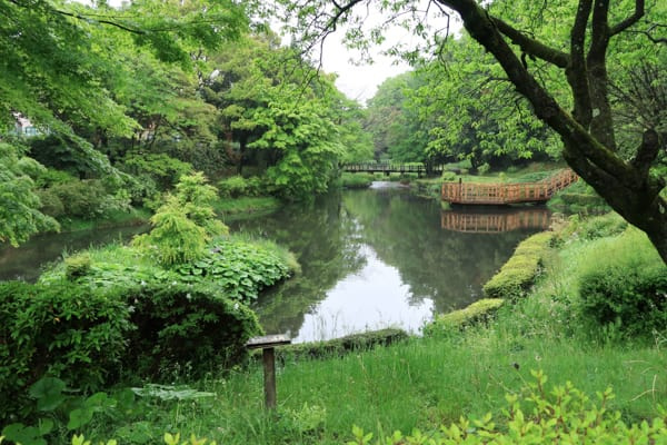 【公園】道保川公園まで694ｍ