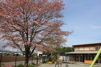 【幼稚園】深谷市おかべ幼稚園まで1837ｍ