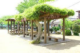 【公園】深谷　泉台公園まで222ｍ