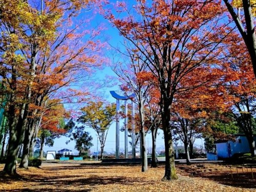 【公園】羽生中央公園まで819ｍ