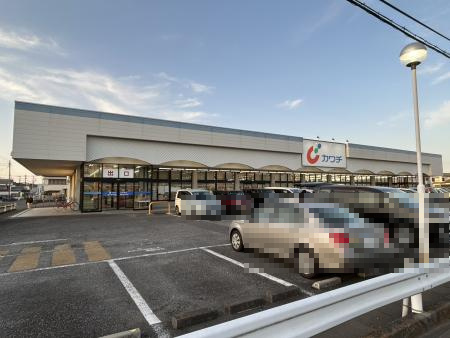 【ドラッグストア】カワチ薬品　荒川沖店まで1290ｍ
