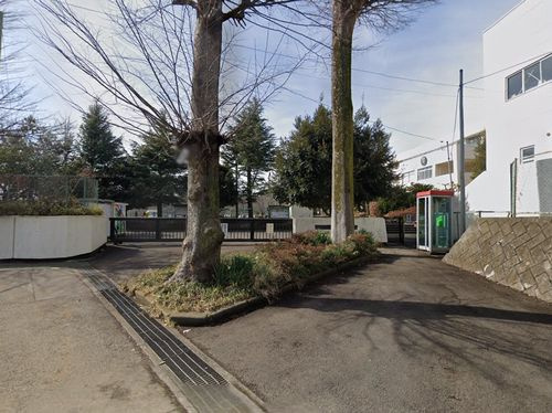 【小学校】伊勢原市立緑台小学校まで881ｍ