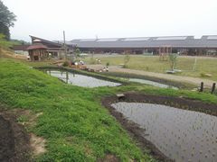 【幼稚園】東京ゆりかご幼稚園まで1666ｍ