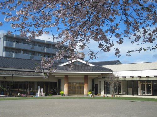 【幼稚園】鶴間幼稚園まで1077ｍ