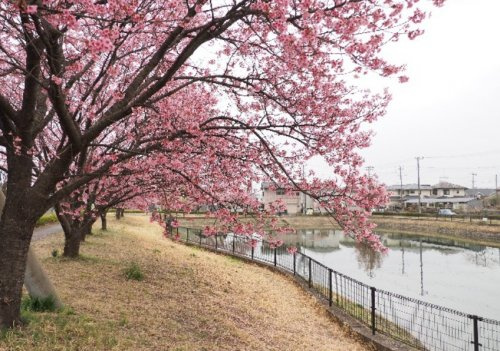 【公園】なかまる公園まで396ｍ