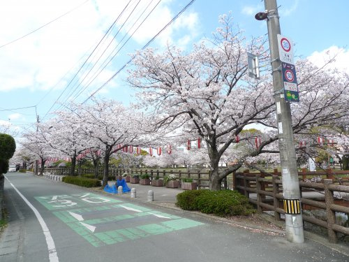 【公園】堂女木池まで362ｍ