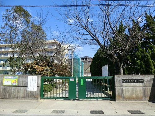 【小学校】松戸市立殿平賀小学校まで386ｍ