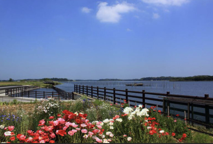 【公園】牛久沼水辺公園まで1134ｍ
