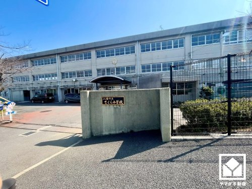 【小学校】八幡市立さくら小学校まで882ｍ