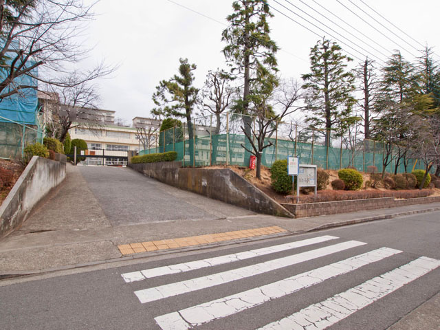 【小学校】鶴川第三小学校まで251ｍ