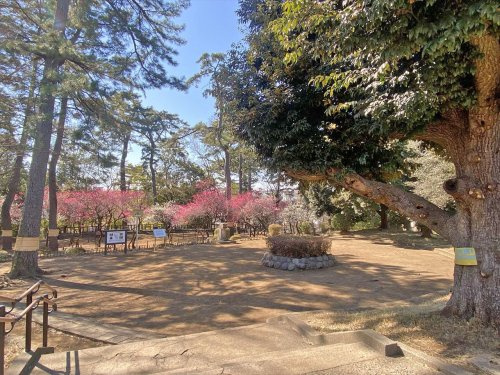 【公園】宝来公園まで402ｍ