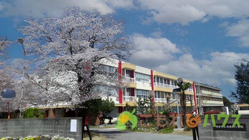 【小学校】鴻巣市立鴻巣北小学校まで727ｍ