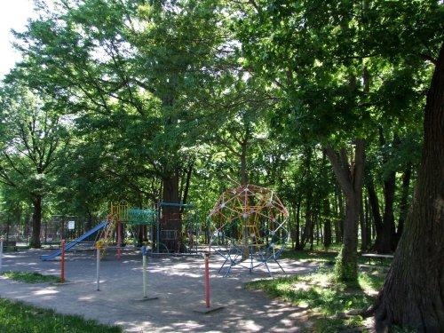【公園】ひのまる公園まで553ｍ