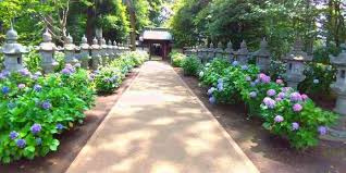 【公園】善福寺川大花壇まで334ｍ