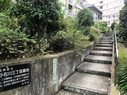 【公園】小石川三丁目緑地まで539ｍ