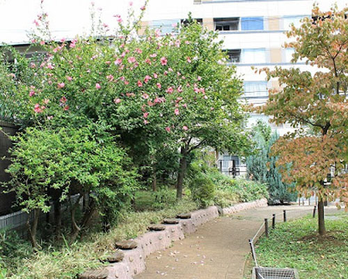 【公園】豊島区立上池袋一丁目ゆったり広場児童遊園まで274ｍ