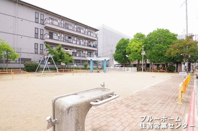 【公園】矢田部公園まで232ｍ