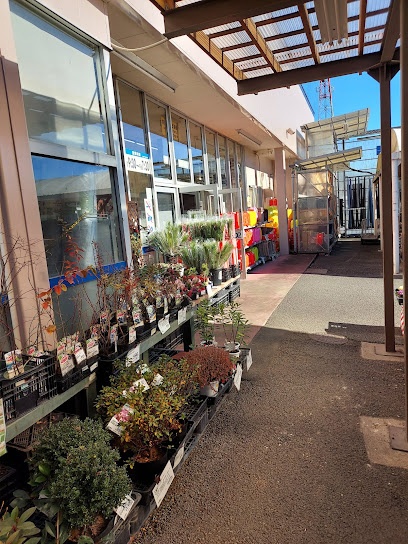 【ホームセンター】ＤＣＭ久喜店まで2334ｍ