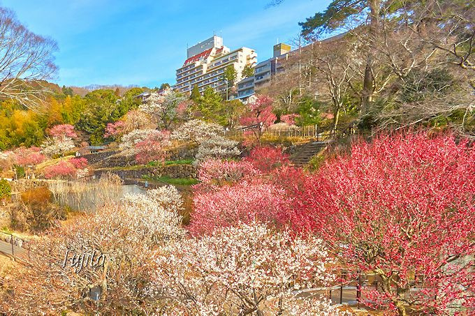 【公園】熱海梅園まで642ｍ