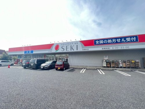 【ドラッグストア】ドラッグストア　セキ　向陽町店まで260ｍ
