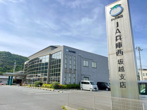 【銀行】JA兵庫西坂越支店まで259ｍ