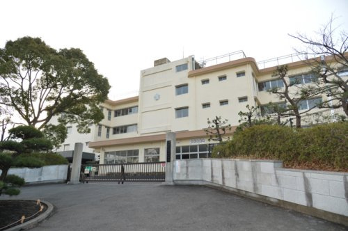 【小学校】平塚市立花水小学校まで411ｍ