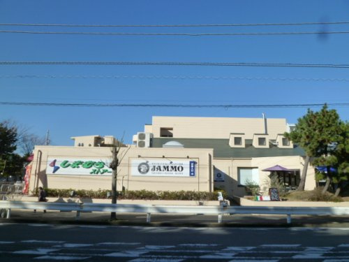 【スーパー】しまむらストアー　すみれ平店まで269ｍ