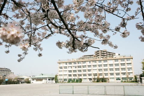 【中学校】八潮市立八幡中学校まで1011ｍ