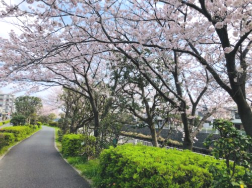 【公園】第4号引地川緑地まで1810ｍ