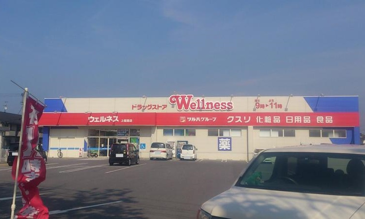 【ドラッグストア】ウェルネス上福原店まで961ｍ