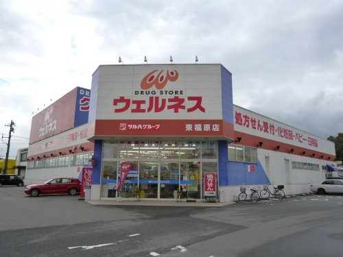 【ドラッグストア】ウェルネス東福原店まで696ｍ