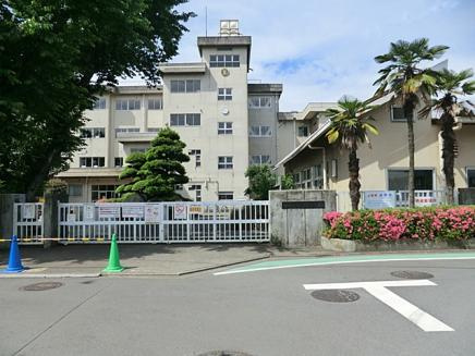 【小学校】大島小学校まで774ｍ