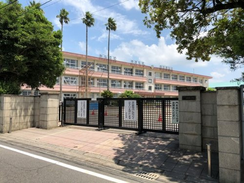 【小学校】鹿児島市立西紫原小学校まで639ｍ