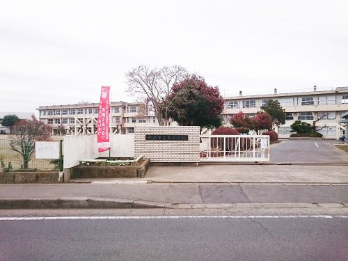 【小学校】水戸市立寿小学校まで1227ｍ