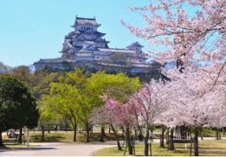 【公園】シロトピア記念公園まで1299ｍ