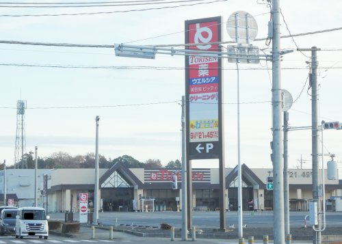 【スーパー】とりせん美しが丘店まで2141ｍ