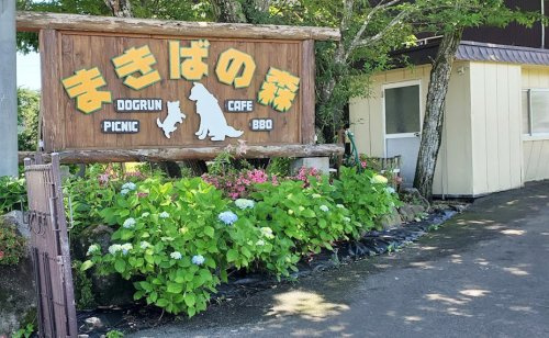 【公園】まきばの森まで4545ｍ