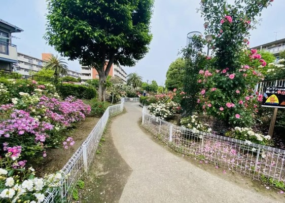 【公園】青和ばら公園まで588ｍ