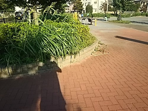 【公園】公園まで1714ｍ