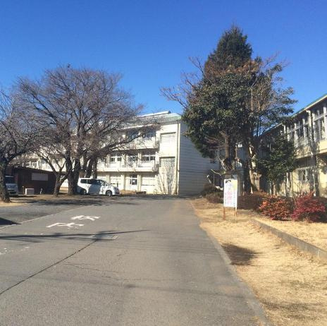 【小学校】市毛小学校まで1905ｍ