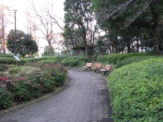【公園】目黒区民センター公園まで289ｍ