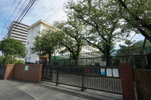 【小学校】藤沢市立新林小学校まで409ｍ
