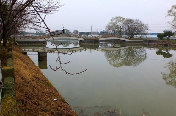 【公園】旧川ふるさと公園まで1538ｍ